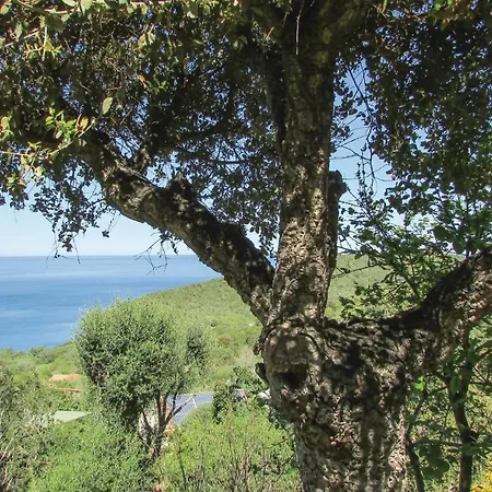 3 Bedroom In Vecchio * Πόρτο Βέκιο