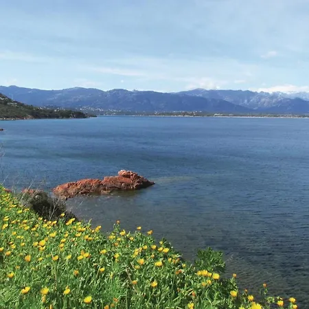 Semesterbostad 3 Bedroom In Vecchio *