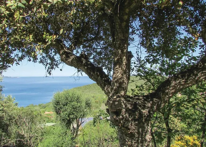 3 Bedroom In Vecchio * Porto-Vecchio (Corsica)