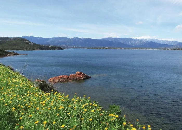 Vakantiehuis 3 Bedroom In Vecchio *